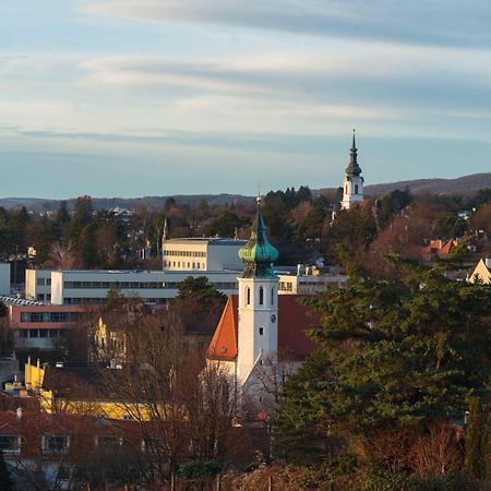 Herrlicher Ausblick Ueber Wien エクステリア 写真