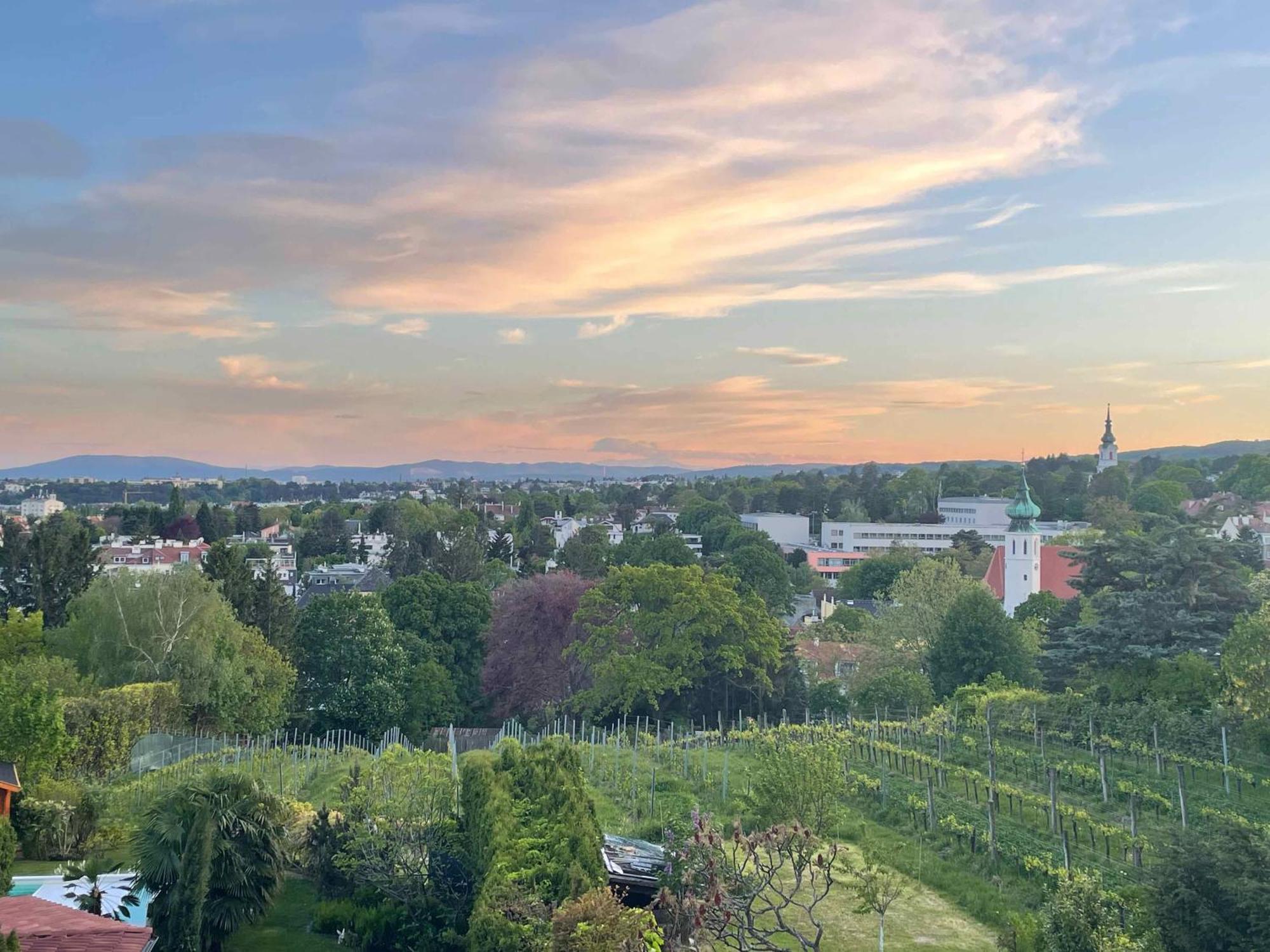 Herrlicher Ausblick Ueber Wien エクステリア 写真